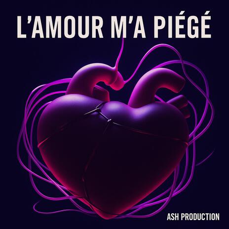 L'amour m'a piégé cover art
