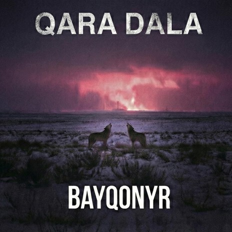 Bayqonyr cover art