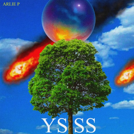 See. cover art
