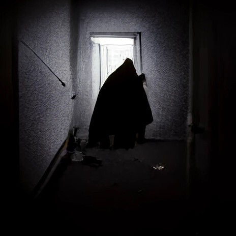 Transcendence (The Natural Beauty of White Poverty) cover art