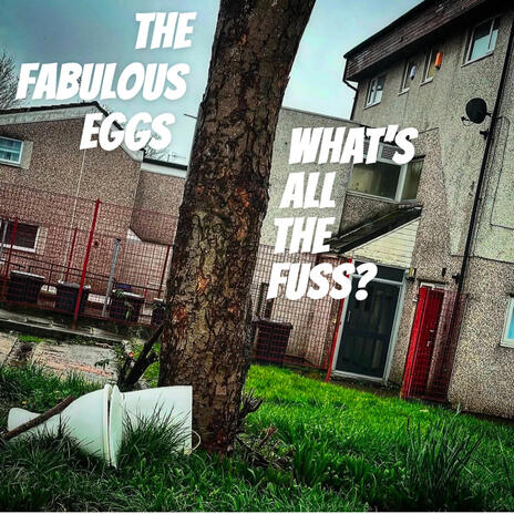WHAT'S ALL THE FUSS cover art
