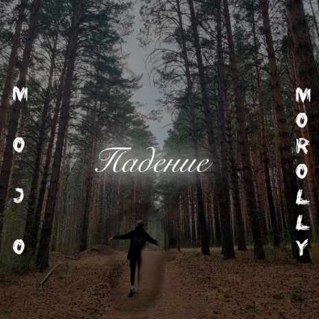 Падение cover art