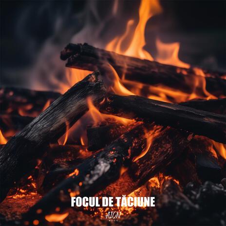 Focul De Taciune cover art