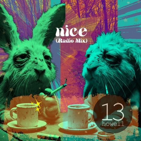 Nice (Radio Edit) cover art