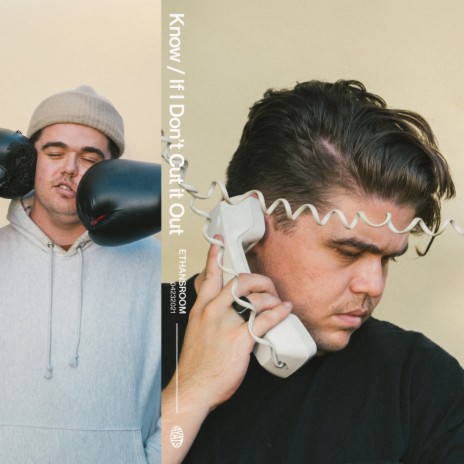 If I Don't Cut It Out cover art