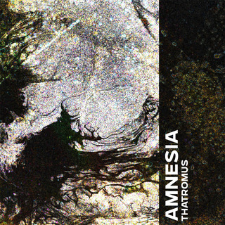 Amnesia
