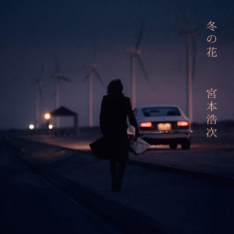 Fuyu No Hana (Instrumental) cover art