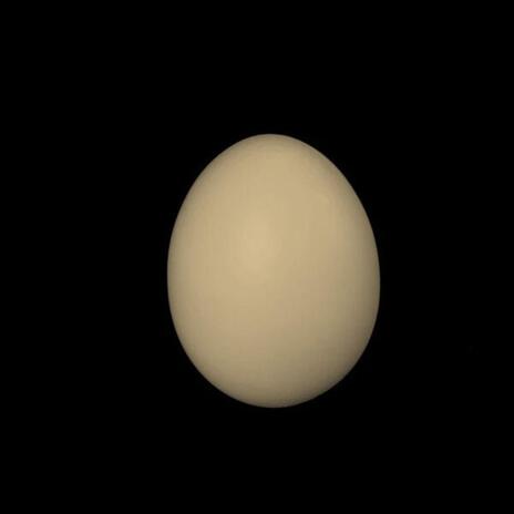 All Hail The Egg (2025 Mix) cover art