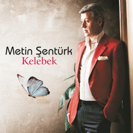 Sensizlik Kalbe Zararlı ft. Elif Kaya cover art