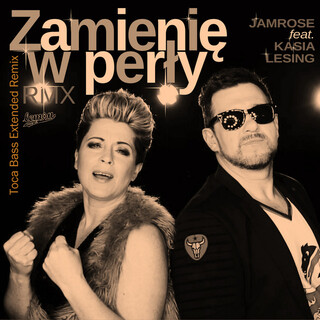 Zamienię w perły (Toca Bass Extended Remix) ft. Kasia Lesing cover art