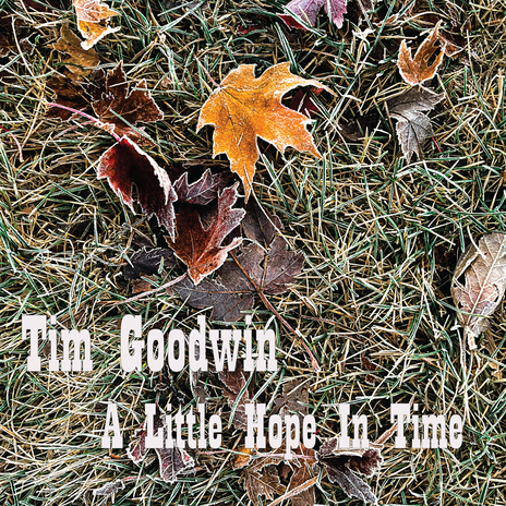 Wildflowers cover art