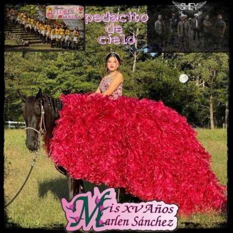 La Ultima Muñeca cover art