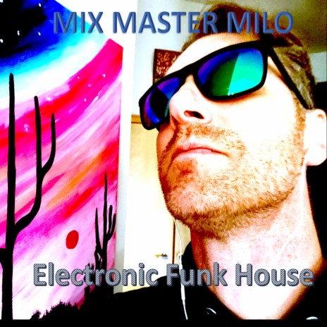Electronic Funk House cover art