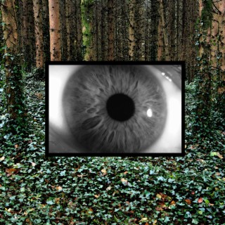 Bient