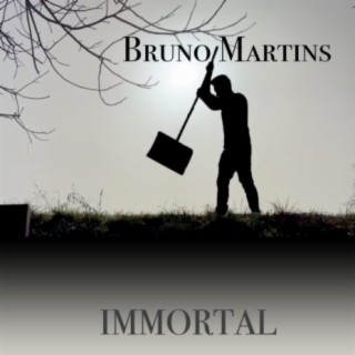 Bruno Martins