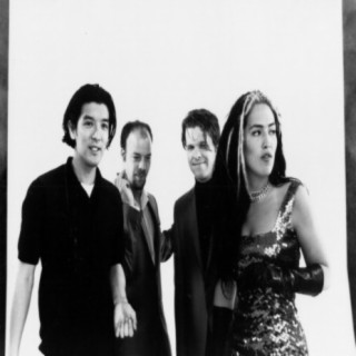 The Dambuilders