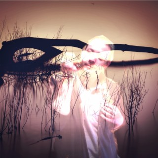 Shedding Skin cover art