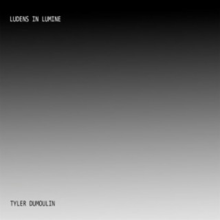 Ludins in Lumine