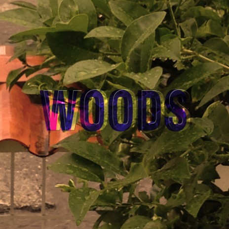 Fangs cover art