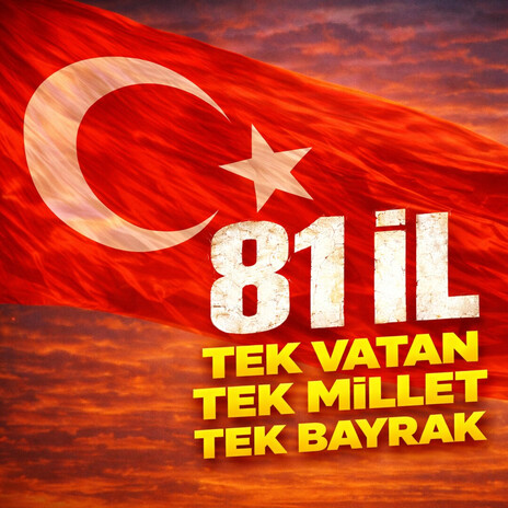 81 İL cover art