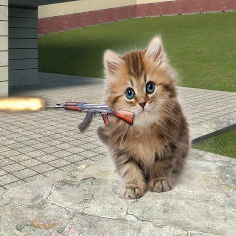my cat walked in with a gun cover art