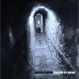 Chased by Bear