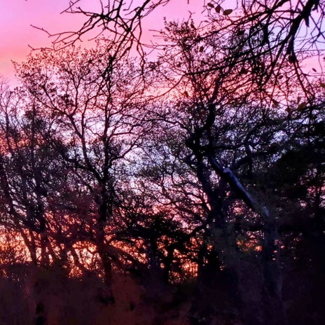 wish it could get brighter