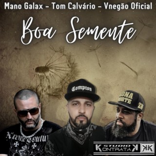 Boa Semente ft. Tom Calvário & Vnegão Oficial cover art