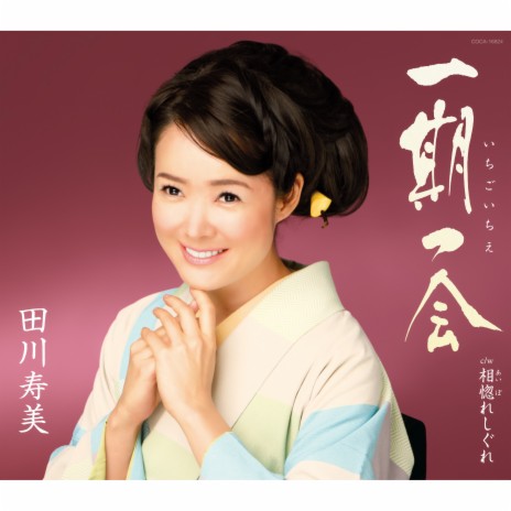 Ichigo Ichie (Instrumental) cover art