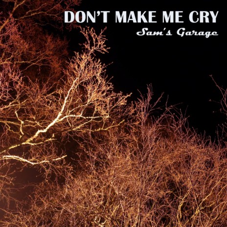 Don't Make Me Cry cover art