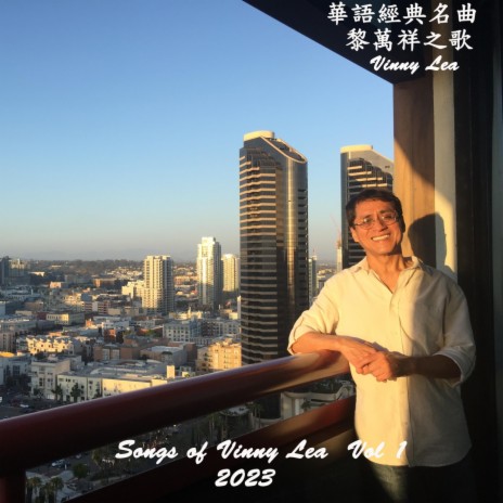 Wo You Yi Duan Qing cover art