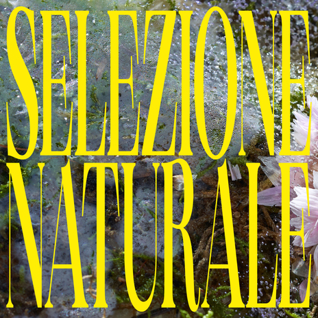 Uomo Senza Piume cover art