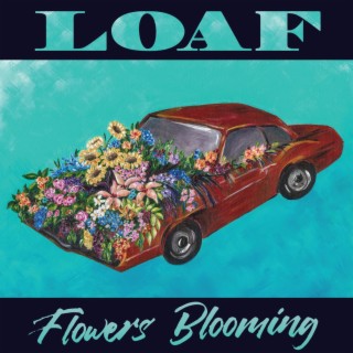 Flowers Blooming