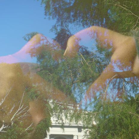 told me to stay cover art
