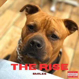 The Rise cover art