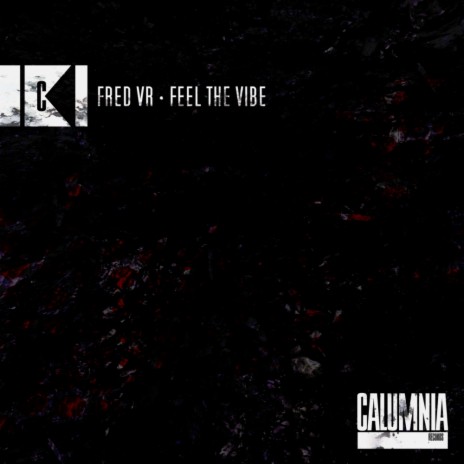 Feel The Vibe (Original Mix) cover art