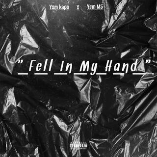 Fell In My Hand ft. Ysm M5 cover art