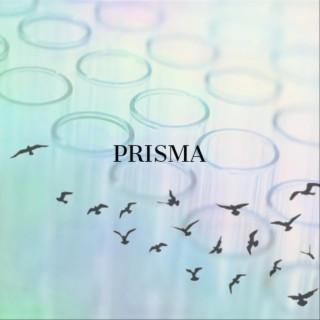 Prisma