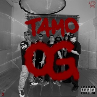 TAMO OG ft. Trippy Snake, Jhony Welker & Ginola cover art
