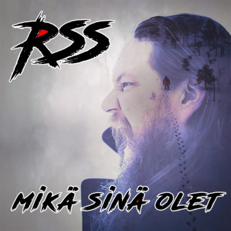 Mikä sinä olet cover art