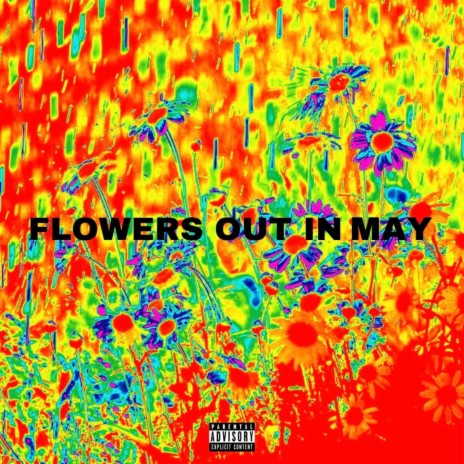 Flowers Out In May cover art