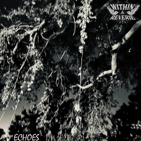 Echoes