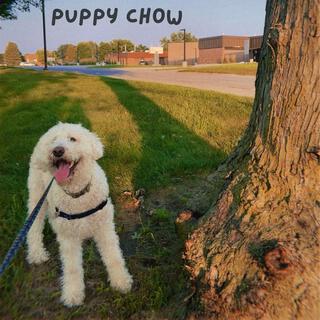 Puppy Chow