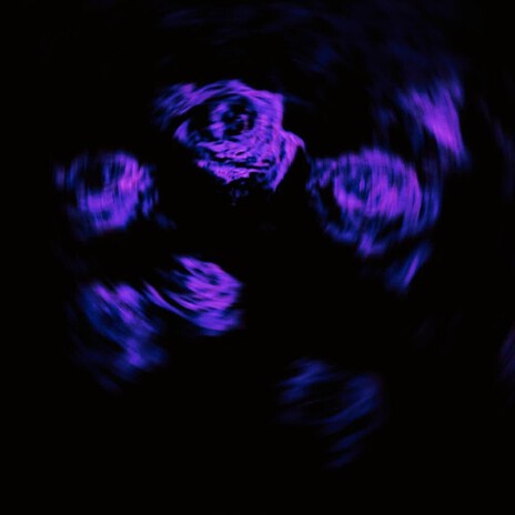 hold your hand cover art