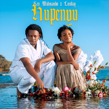 Hupenyu ft. Linshay cover art