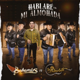 Hablaré Con Mi Halmohada ft. Los Del Palmarito cover art