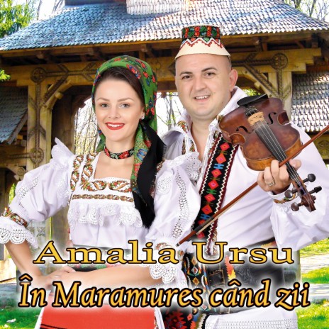 La Inceputul Steagului cover art