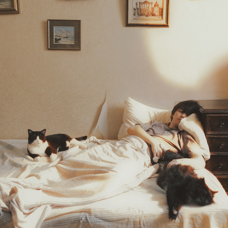 Песня про кота cover art