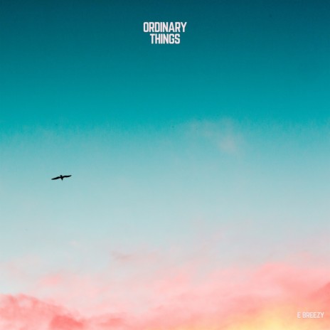 Remember cover art