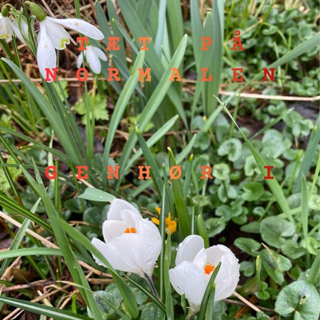 Åben hjerte (Genhør version) cover art